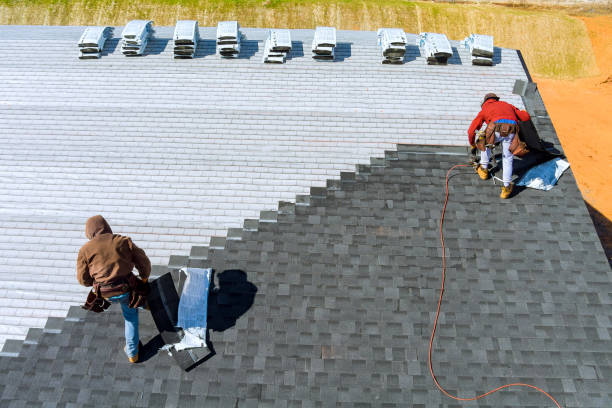 Best Roof Gutter Cleaning  in Irvine, KY